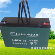 【厂家直销】阀控式密闭免维护，电动车电池，智能打气机