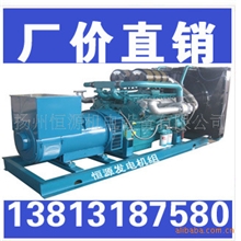现货供应上海帕欧500kw柴油发电机组
