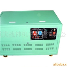 大型汽油发电机组