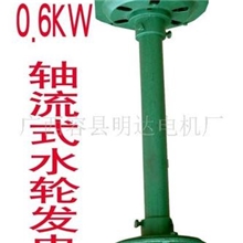 供应600W轴流式水力发电机组(图)