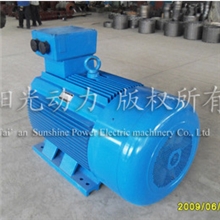 【优质供应】阳光动力生产制造永磁同步电机永磁同步高效电机