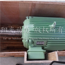 【优质供应】公司专业生产制造螺杆泵直驱电机质量保证