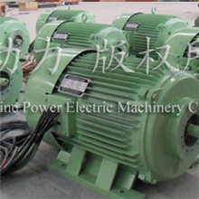 【优质供应】专业生产阳光动力油田螺杆泵直驱电机高效节能电机