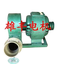 1000w两用冲击式水力发电机家用1kw小型水轮发电机