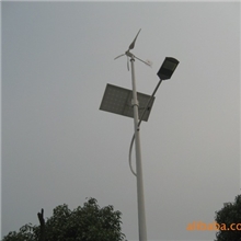 风光互补路灯C-300W