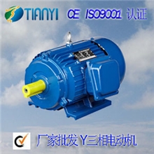 优质厂家直销Y系列三相异步电动机