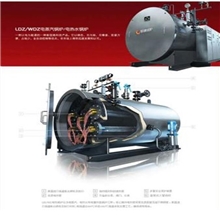 供应导热油锅炉反应釜导热油炉电热锅炉酒店用锅炉