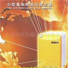 实验室做实验灭菌干洗店样衣整烫用5公斤蒸汽量3.5kw蒸汽锅炉