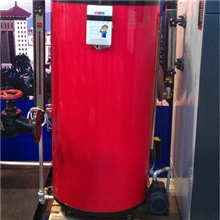 蒸汽量200公斤，LSS全自动燃油蒸汽锅炉（洗涤熨烫，干洗烘干）