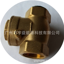 供应锅炉专用止回阀1寸弹簧式止回阀