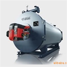 燃油(气)有机热载体锅炉-低耗环保