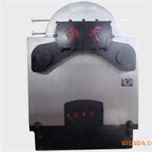 供应DZG固定炉排系列锅(图)