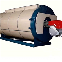 厂家直销优质WNS系列燃油热水锅炉