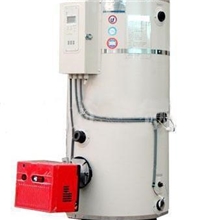 厂家直销品质保证WNS燃气热水锅炉