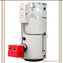 立式燃油气锅炉