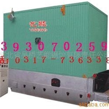 河北艺能燃煤链条卧式导热油炉，余热锅炉