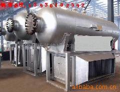 河北吴桥艺能余热锅炉，余热导热油炉