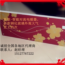 智能新款--对流式电暖器火爆上市，权威生产商