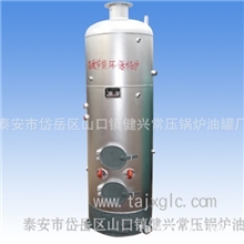立式燃煤锅炉节能环保锅炉常压热水锅炉