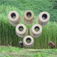 供应大麻气流纺纱线8.5Nme厂家直销