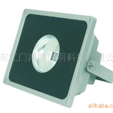 LED泛灯灯、泛光灯、50W投光灯、投光灯、夜景灯、广告招牌灯、