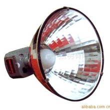 厂家生产直销专业优质工矿灯20-200W功率防爆防水工矿无极灯