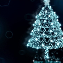 太阳能灯串/景观灯/节日装饰