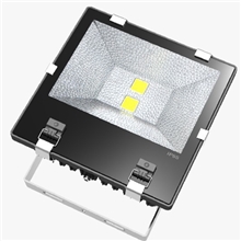 工厂直销新款LED投光灯100W