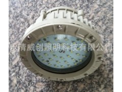 LED免维护防爆投光灯《LED免维护防爆投光灯-LED防爆投光灯》厂家