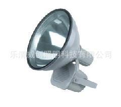 NTC9210防震型投光灯=NTC9210标准配装250W/400W金卤灯