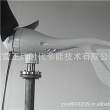 风力发电机(高风速型、法兰连接、小蜻蜓300W)）