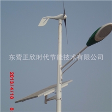 高端风光互补风力发电机(小蜻蜓300W)。