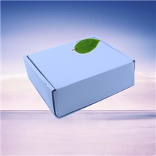 批供路灯户用发电系统太阳能控制器