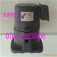 台湾大港油泵冷却泵浸水式自吸式马达泵浦