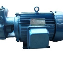 厂家低价直销W型增压泵/高压热水泵/试压泵浦/优质水泵