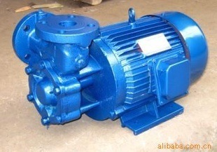 厂家低价直销W型WD型低压旋涡泵/锅炉给水泵/高扬程