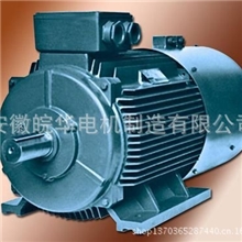 常年销售YVF系列变频三相异步电动机，质量三包、价格优惠