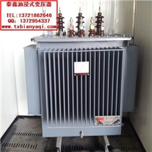 南阳S11-M油浸式变压器/南阳节能变压器厂家/变压器价格