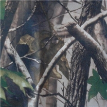 厂家直销迷彩印花牛津布箱包布花样多