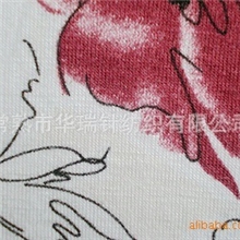 供应人棉氨纶汗布印花、印花汗布、印花氨纶汗布