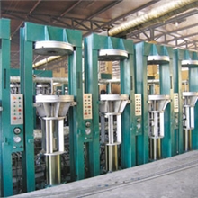 供应摩托车胎胶囊硫化机，各种橡胶机械