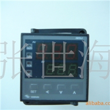 智能温度控制仪XMTA-2012-0114016-DH348*48