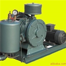 公司专业生产回转式鼓风机