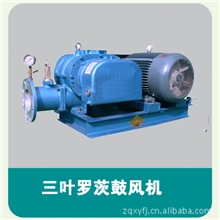 厂家直销供订做高压罗茨鼓风机【欢迎来电采购】