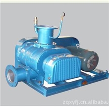 山东现货供应厂家优质生产罗茨风机口径50-600A