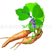 葛根提取物-葛根异黄酮