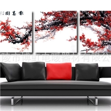 厂家批发碳晶远红外线墙暖电暖画