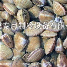 黄蚬加工生产线