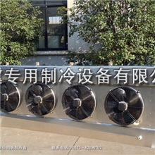 FDS水平双出风式氟利昂冷风机