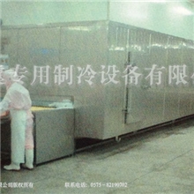 SDS（S）系列板带式隧道单体速冻装置